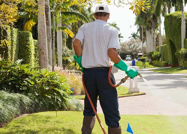 About Dorr MI Pest Control